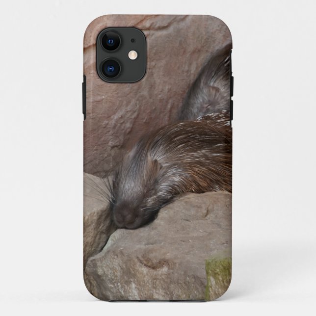 Capa Para iPhone 11 ouriços crestados indianos (Verso)