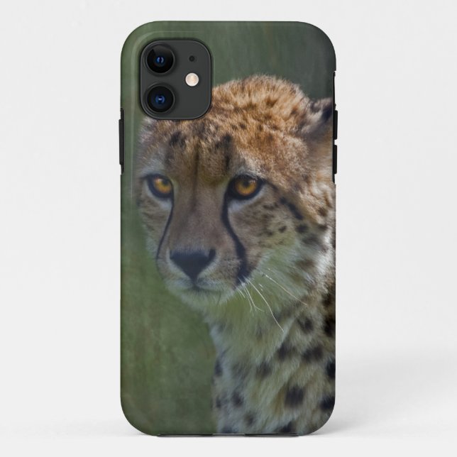 Capa Para iPhone 11 Ouro Cheetah iPhone 5 Case-Mate Case-Mate Case (Verso)