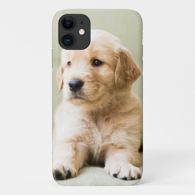 Capa Para iPhone 11 Ouro Retirado no Sofá (Verso)