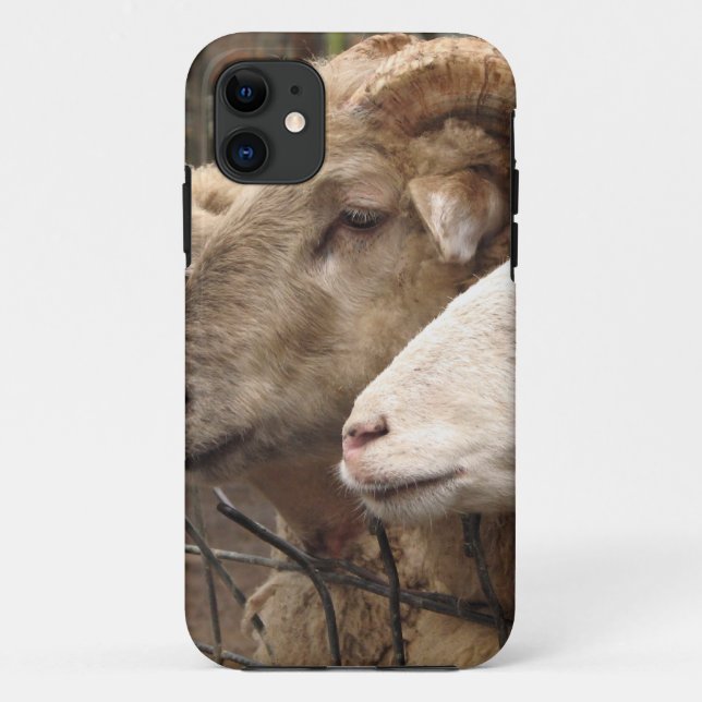 Capa Para iPhone 11 ovelha (Verso)