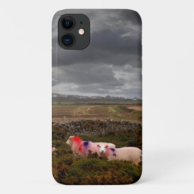 Capa Para iPhone 11 Ovelhas coloridas (Verso)