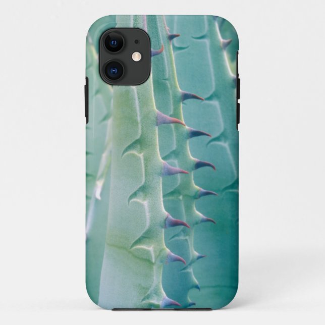 Capa Para iPhone 11 Padrões de uma planta de Agave (Verso)