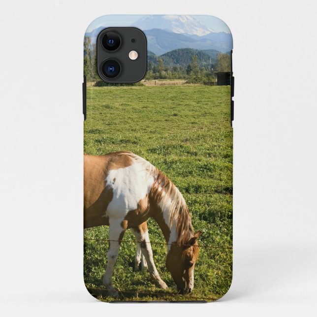 Capa Para iPhone 11 Paint HCourse em Montanhas (Verso)