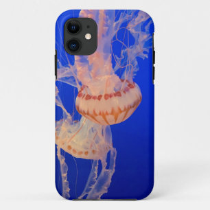 Capa Para iPhone 11 Paisagem Bela
