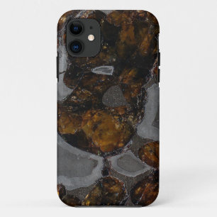 Capa Para iPhone 11 Pallasite