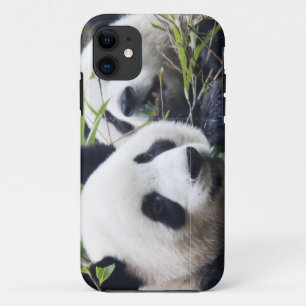 Capa Para iPhone 11 Panda Bear Hugs