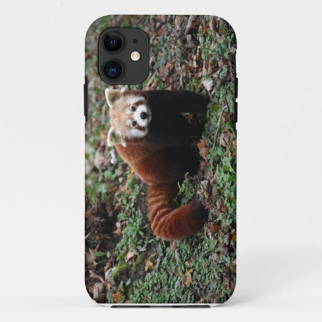 Capa Para iPhone 11 Panda vermelha (Verso)