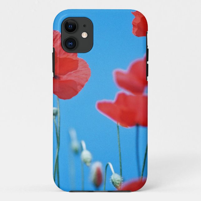 Capa Para iPhone 11 Papoilas de Provença (Verso)