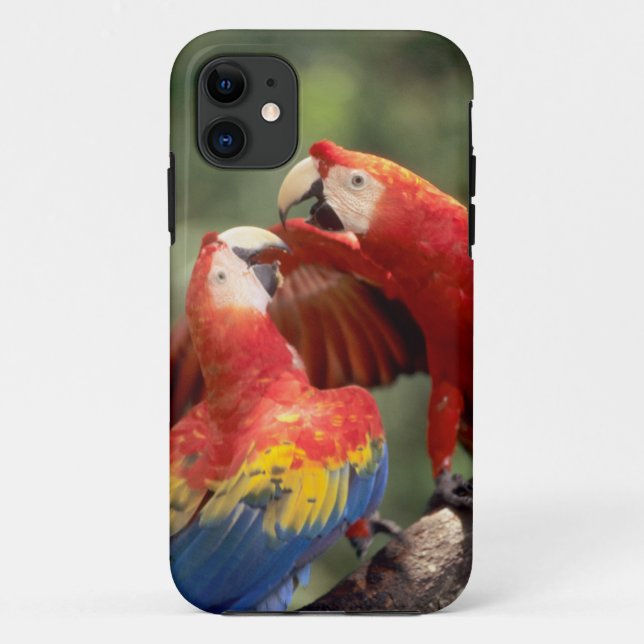 Capa Para iPhone 11 Par de Araras-vermelhas (Verso)