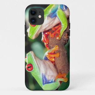 Capa Para iPhone 11 Par de Rãs-Arvore de Olho Vermelho, Agalychinis ca