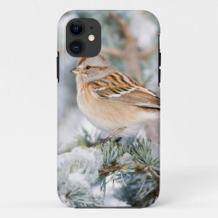 Capa Para iPhone 11 Pardal-americano no inverno