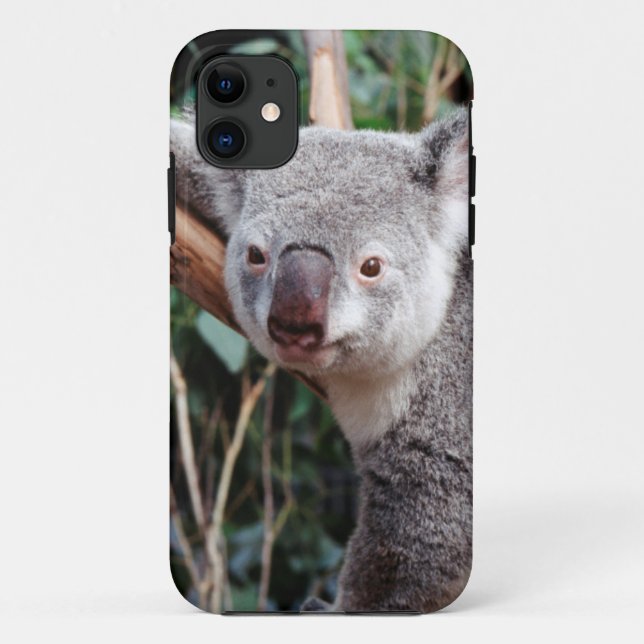 Capa Para iPhone 11 Parque de Vida Selvagem Featherdale, Ursos Koalás (Verso)