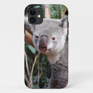 Capa Para iPhone 11 Parque dos animais selvagens de Featherdale, ursos