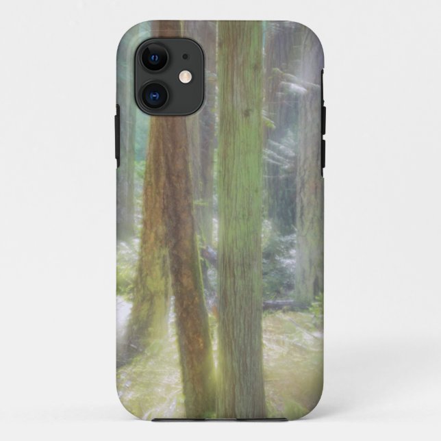 Capa Para iPhone 11 Parque Estadual Praia Cênica (Verso)