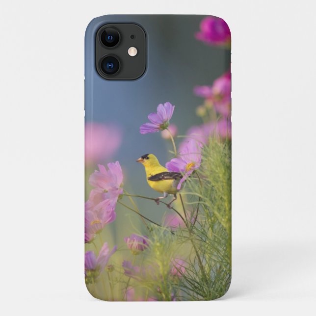Capa Para iPhone 11 Pássaro Amarelo nas Flores (Verso)