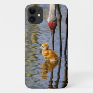 Capa Para iPhone 11 Pássaro bebê bonito da sanduíche