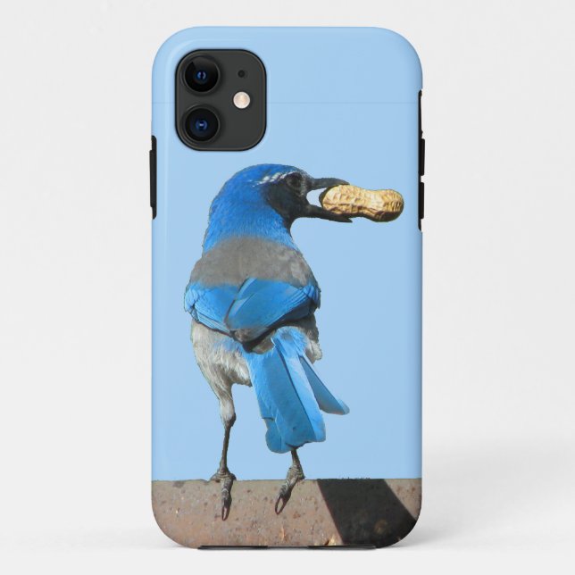 Capa Para iPhone 11 Pássaro e amendoim azul escrupulado (Verso)