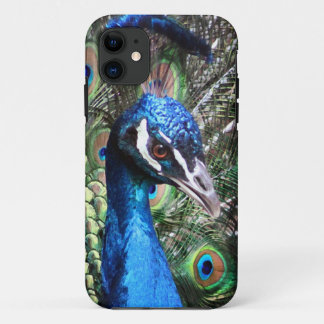 Capa Para iPhone 11 Pavão chamativo