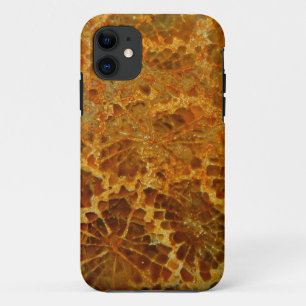Capa Para iPhone 11 Pedra preciosa natural coral fossilizada do jaspe
