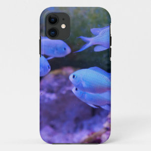Capa Para iPhone 11 Peixe Azul Tropical