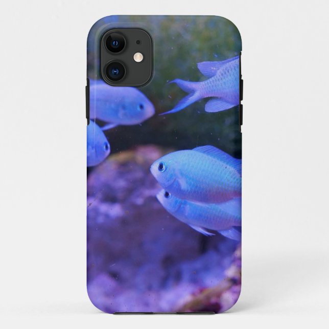 Capa Para iPhone 11 Peixe Azul Tropical (Verso)