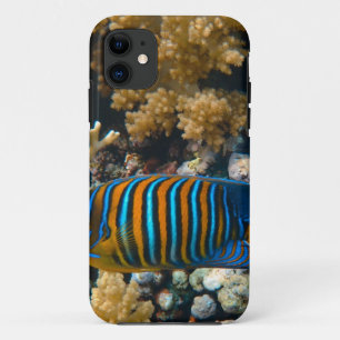 Capa Para iPhone 11 Peixe Colorido Bonito