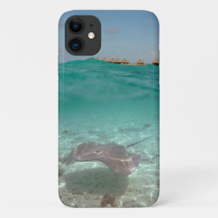 Capa Para iPhone 11 Peixe-raia debaixo d'água em Bora Bora