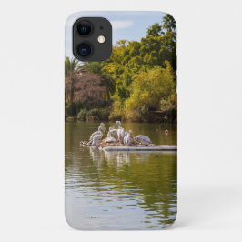 Capa Para iPhone 11 Pelicanos no lago no zoológico de Phoenix