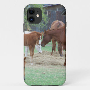 Capa Para iPhone 11 Pelo Amor dos Cavalos