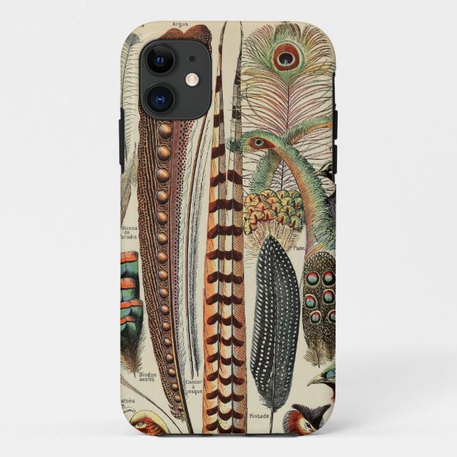 Capa Para iPhone 11 Penas Antigas de Feather Bird (Verso)