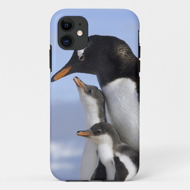 Capa Para iPhone 11 Península Antártica, Neko Harbor, Gentoo (Verso)