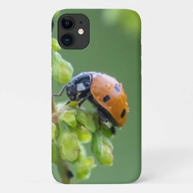 Capa Para iPhone 11 Pequena joaninha para o seu smartphone! (Verso)