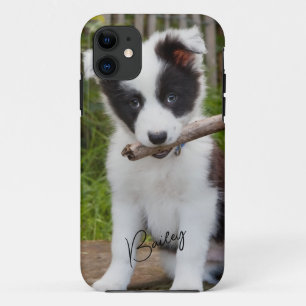 Capa Para iPhone 11 Pet Photo