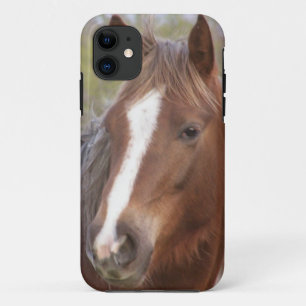 Capa Para iPhone 11 Philly