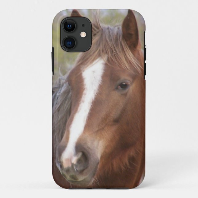 Capa Para iPhone 11 Philly (Verso)