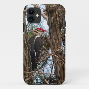 Capa Para iPhone 11 Pica-Pau Pileado Masculino
