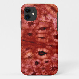 Capa Para iPhone 11 Pilhas de Sclerenchyma de um poço da cereja