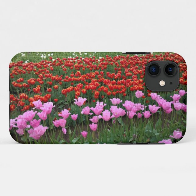 Capa Para iPhone 11 Pink & Red Tulip Field, Oregon (Verso (horizontal))