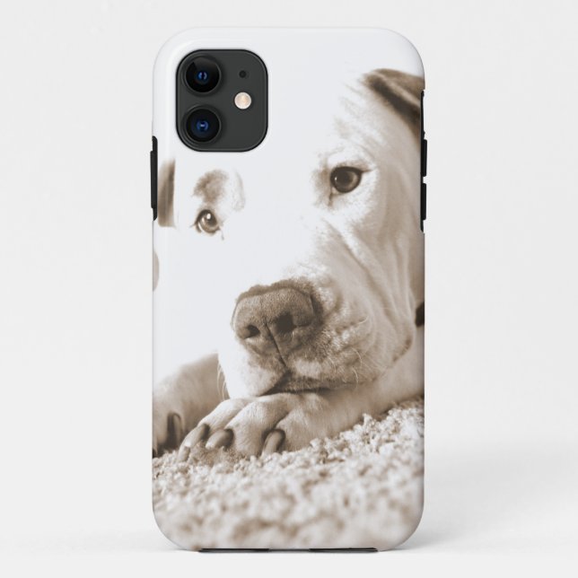 Capa Para iPhone 11 pitbull branco amigável sonolento ódio feito não r (Verso)