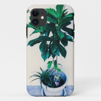 Capa Para iPhone 11 Planta de Jatropha em Verde Natural