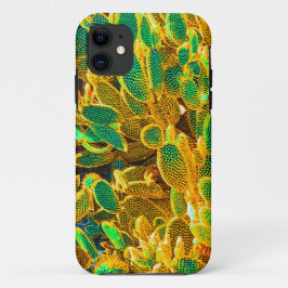 Capa Para iPhone 11 Plantas De Cactus No Deserto De África, Em Pera Rá