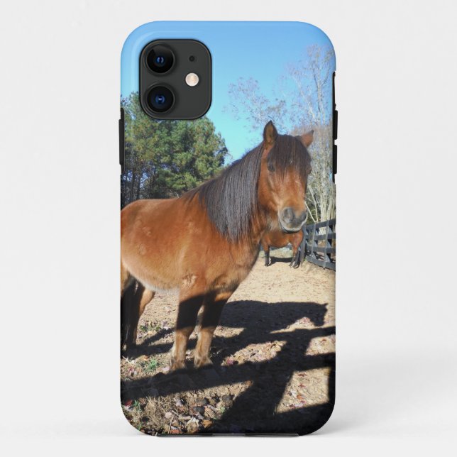 Capa Para iPhone 11 Pônei marrom céu turquesa (Verso)