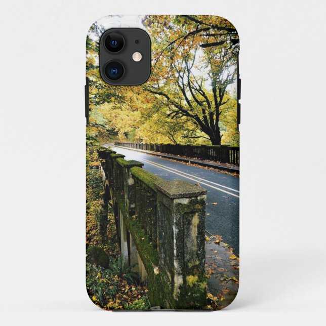Capa Para iPhone 11 Ponte em Latourell Falls, OR (Verso)