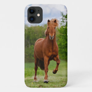 Capa Para iPhone 11 Pony islandês em uma Tölt Funny Photo Horse Lovers