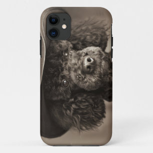 Capa Para iPhone 11 Poodle Negra Vestida como Costume de Halloween de
