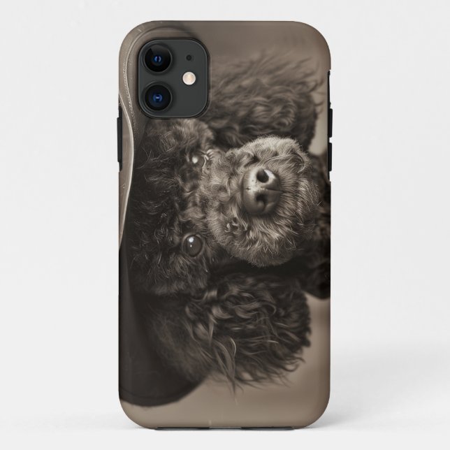 Capa Para iPhone 11 Poodle Negra Vestida como Costume de Halloween de  (Verso)