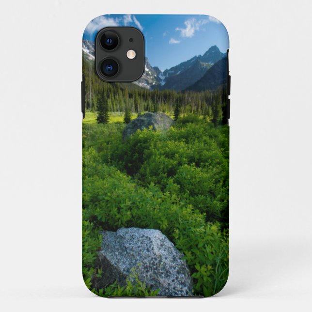 Capa Para iPhone 11 Prado e Mt. Stuart (Verso)