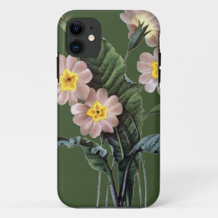 Capa Para iPhone 11 Prímula (Primula Aucalis)