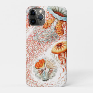 Capa Para iPhone 11 Pro Água-viva, Disco de Ernst Haeckel