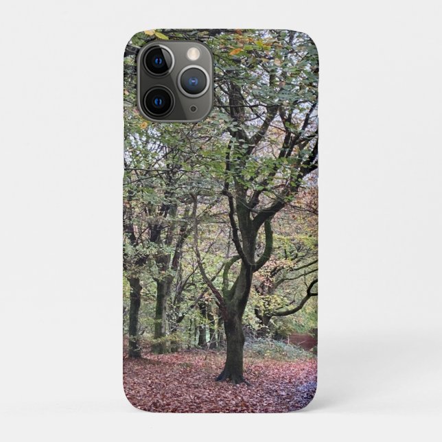 Capa Para iPhone 11 Pro Autumn Trees Rivington (Verso)